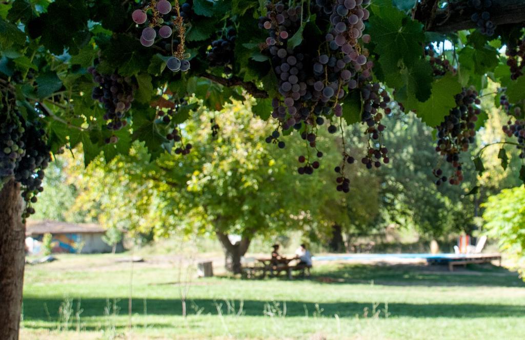 Hosteria Rural Viejo Roble San Rafael  Eksteriør bilde