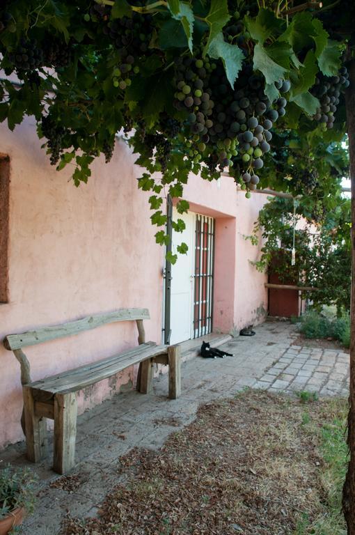 Hosteria Rural Viejo Roble San Rafael  Eksteriør bilde